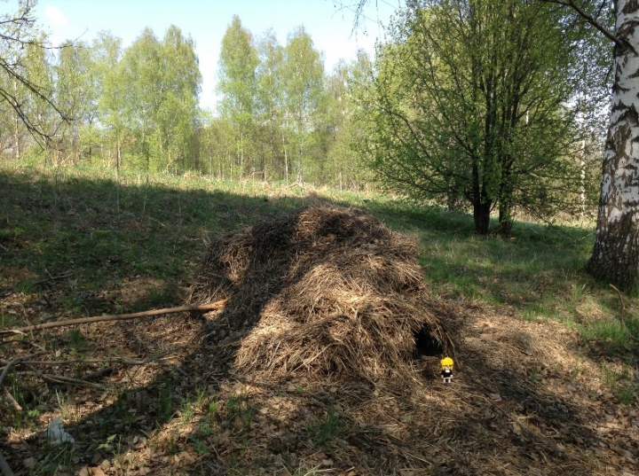 LEGO MOC - 16x16: Technics - Куколка Эля (постконкурсное приложение к работе 'Газовая плита 60-х годов'): Теперь Эля не знала куда ей идти.<br />
Недалеко от места крушения оказалась чья-то пустая берлога. В ней Эли переночевала и с утра готова была отправится в путь только не знала в какую сторону идти.