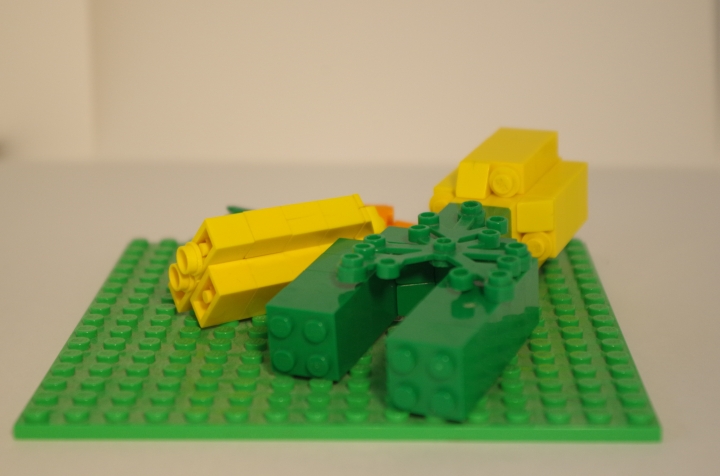 LEGO MOC - 16x16: Botany - Овощи на грядке: Вид сзади.