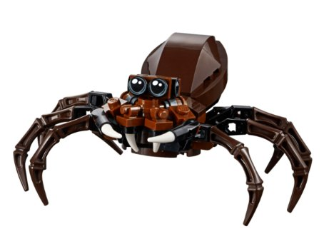 spider05