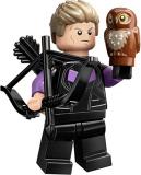 71039-hawkeye