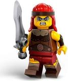 71045-warrior