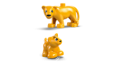sous-thèmes